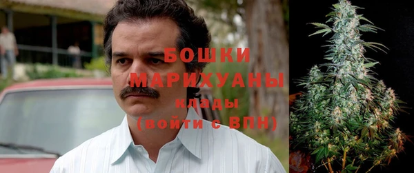 mdpv Горнозаводск