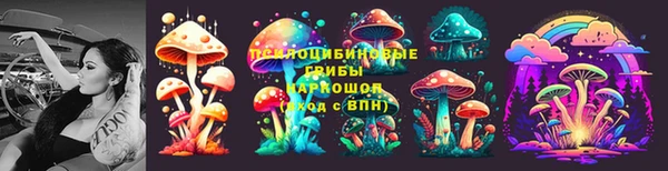 mdpv Горнозаводск