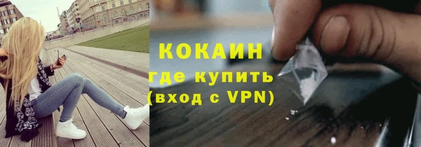 ешки Горняк
