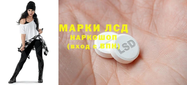 ешки Горняк
