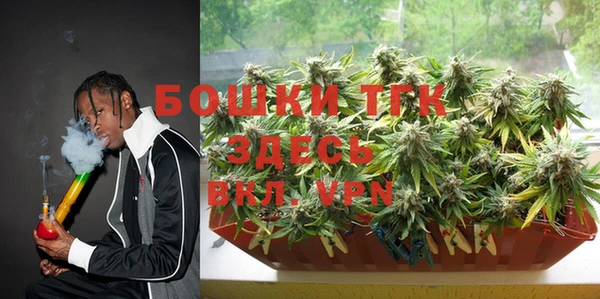 ешки Горняк