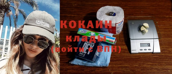 ешки Горняк