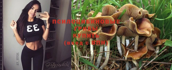 ешки Горняк