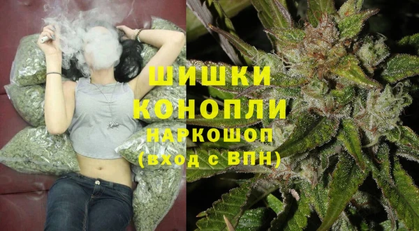 mdpv Горнозаводск
