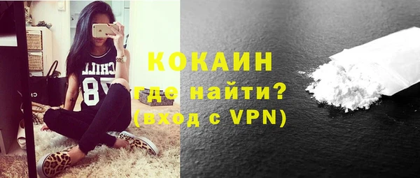 ешки Горняк