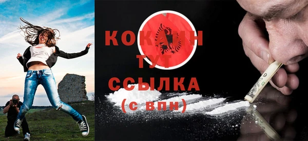 ешки Горняк