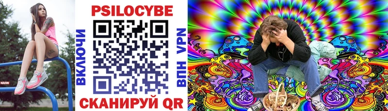 Купить закладки  Чайковский  Галлюциногенные грибы MAGIC MUSHROOMS 
